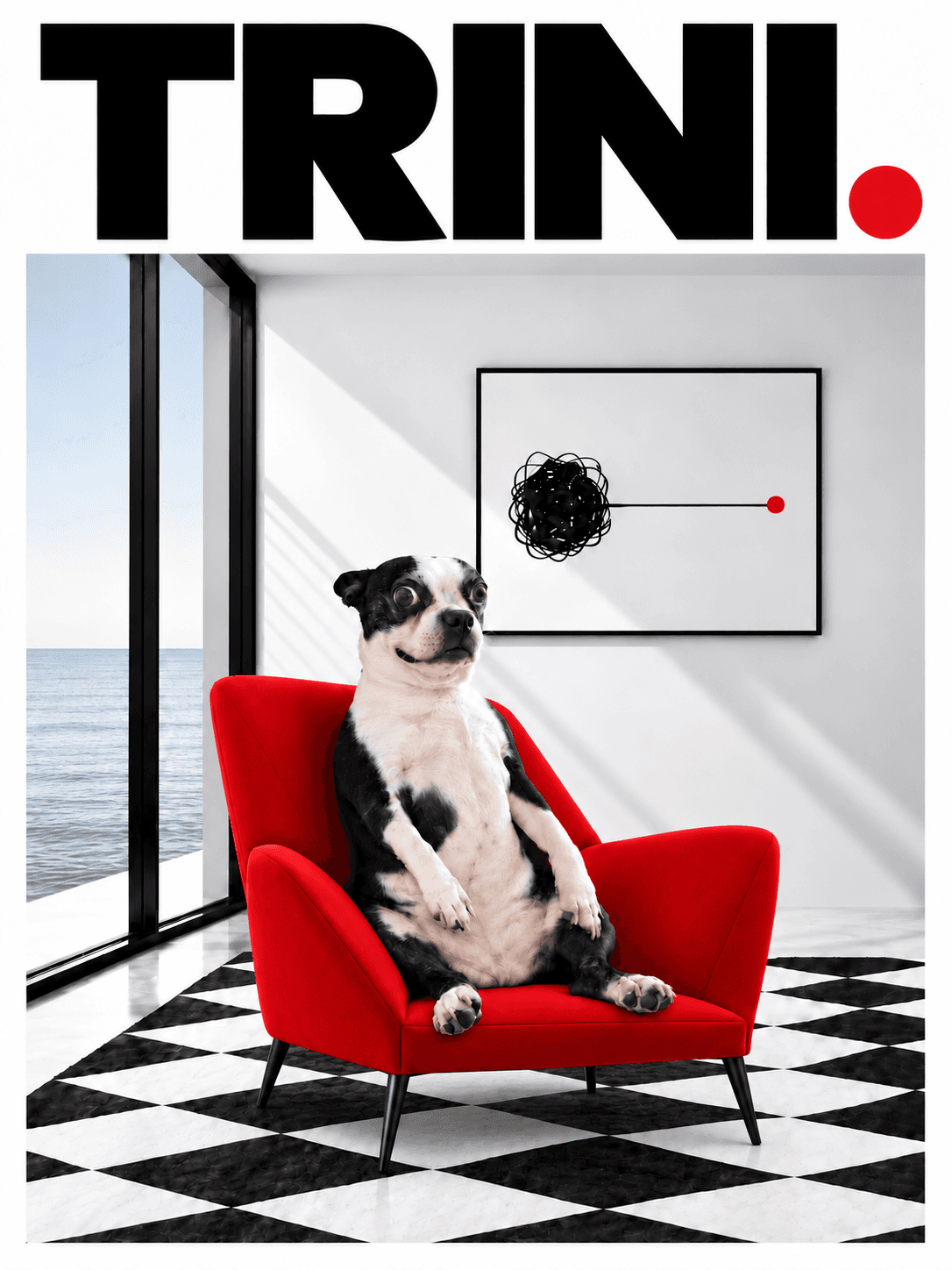 Trini the Boston Terrier sitting in a red chair in an Antiwhelm room